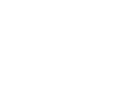 Solo Studio